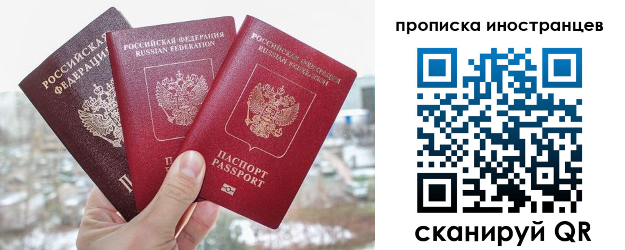 временная регистрация поиск в Новомосковске